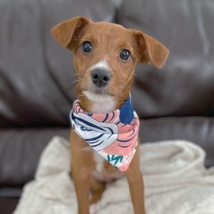 Meet your Posher, Kelly